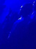 photo RobertPattinsonTwigsConcert4.jpg